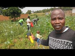 ALERT! ⚠️ IT'S DANGEROUS TO ENTER OUR FAMILY BUSINESS AT OUR DREAM HOME IN AFRICA KENYA 🇰🇪