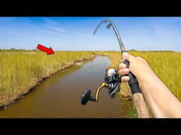 Fishing DEEP into the SHALLOW Creeks.. (this is HUGE)