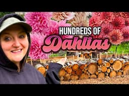 BUILDING & PLANTING *HUGE* DAHLIA BEDS! 60+ varieties & colors! Wood round log raised beds!