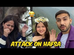 Monkey ne attack kardiya achanak😂 Hafsa Pareshaan hogayi🙁
