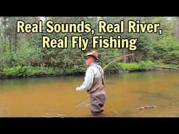 54 Minutes of Fly Fishing Bliss – ASMR Canoe Float on Michigan’s Rifle River