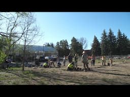 Apple orchard planted on CU Boulder Campus