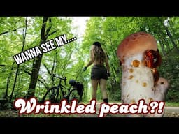 Biking, Jogging & a Rare Find: Wrinkled Peach Mushroom