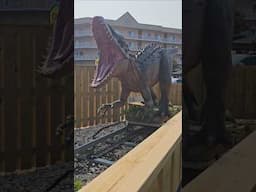 AWESOME Indominus rex animatronic at Nick's Mini Golf in Ocean City, Maryland!