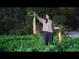 Preserving Radishes for a Whole Year! Making Dried Radishes!