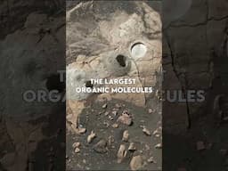 Proof of Life on Mars
