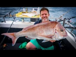 Hot Twilight Fishing Autumn Snapper Action!  | Reedy’s Rigs & Possum