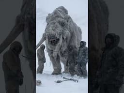 Giant Woolly Rhino Frozen In Ice Found in Siberian Tundra