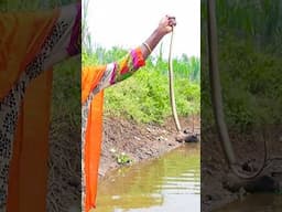 அய்யமா வலையில் சிக்கிய பாம்பு | Village Life #shortsvideo #snake #shorts