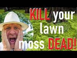Kill Your Lawn Moss Dead!