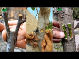 Useful Life Skills – Simple Craft Techniques Tutorials – Life Hacks Everyone Should Know - Part 7