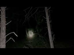Special Request Bigfoot Sasquatch Night Hunt Ends In Tragedy!