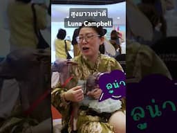 ดอกหญ้าพราวดีโฉมนางแบบ Luna แคมเบล #jerhigh #cat #pomeranian #สุนัขตำรวจ #news #pets #animals