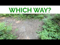 5 Backpacking Trail Awareness Tips to Keep You Alive