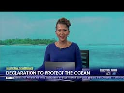 UN Ocean Conference | Declaration to protect the ocean