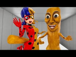 Miraculous The Ladybug - Tung Tung Tung Sahur Transformation!( Italian Brainrot Animation!)