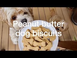 Easy Peanut Butter Dog Treats Recipe