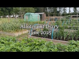 Allotment Diary June 2025, Allotment Update June 2025