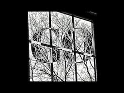 "Go" by Joe Gilder
