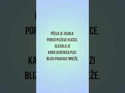Learn Serbian ★ Quiz 26 ★ Spider - Pauk