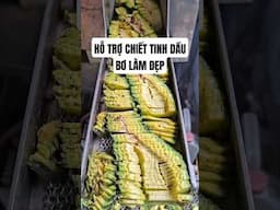 Bơ ăn không hết thì đưa lên em làm tinh dầu bơ để làm đẹp nha. Ai có nhu cầu làm đẹp thì gửi lên đây
