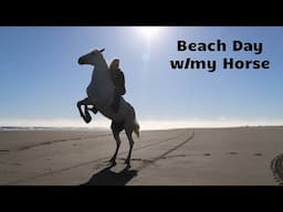 Beach Day with my Horse