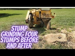 Stump Grinding Four Stumps Before and After