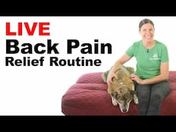 Join Me April 28 @ 10am Eastern for Back Pain Stretches LIVE!
