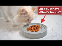 How to Choose a Healthier Cat Food: Ingredients to Avoid | The Cat Butler