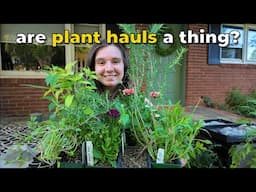 An impromptu PLANT HAUL - Asheville Herb Fest 2025 (Calico Cow Acres Homestead)