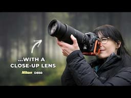 Finding Small Stories in a Leafless Landscape: Winter Woodland Vlog #2