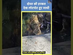 Viral | Hiker दोस्त की हरकत देख लोटपोट हुए साथी, वीडियो हुआ वायरल | Hiking #shorts
