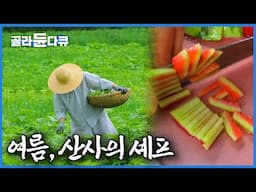 자연에서 나는 건 버릴 게 없다. 스님만의 특별 레시피로 만드는 여름 반찬ㅣ프랑스에서도 극찬한 손맛 좋은 한국 스님ㅣ한국기행│#골라듄다큐