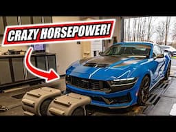 We SUPERCHARGED our Mustang Dark Horse! | +300 HP!