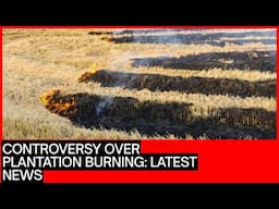 Plantation Burning, Walmart Beefing, and Artificial Teaching?