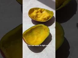 3-Ingredient Mango Sorbet (No-Churn!) | Minimalist Baker Recipes