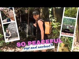solo singapore hiking - bukit timah caves? // what did i stumble upon?
