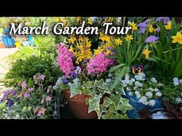 March Garden Tour With Lots of New Plants!