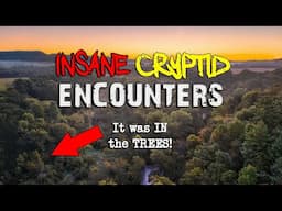 It was IN the TREES: 3 Totally INSANE Cryptid Encounters