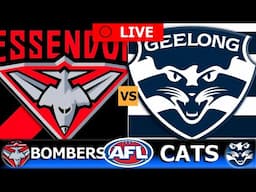 ESSENDON vs GEELONG | 2025 AFL Round 14 Live Stream