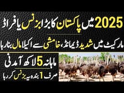 Biggest Farm Again Has High Demand of  2025 | Shortage of Ostrich Eggs & Chicks in Market
