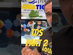 TDS Hack Part 2 Much more detail in the full video! 😁#aquarium #aquariumhobby #aquariumwaterchange