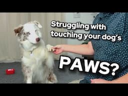 Are you struggling with the first step of doing your dog's nails?