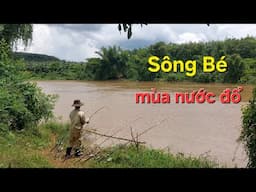 Nay Ra Sông Câu Cá Mùa Nước Đổ Và Cái Kết