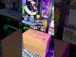 Sailor Moon Cosmos WONDER STATUE figure is HERE! Unboxing soon! #sailormoon #animefigures