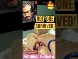 *Nice Miss*  Hysterical 80 Year Old MRE Fail! See Full Video Link In Description.