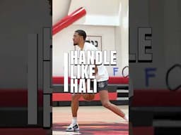 Tyrese Haliburton Dribbling Workout