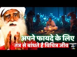 तंत्र का रहस्य : अपने फायदे के लिए विचित्र जीवों का इस्तेमाल ! Mystery Of Tantra | Sadhguru Hindi