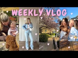 WE'RE BACK IN LONDON!!!♡ SPRING IS HERE, HOME UPDATES, HAULS & WINGSTOP REVIEW | CHLOEWHITTHREAD