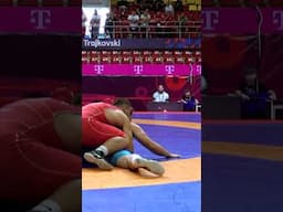 Beautiful Wrestling Technique